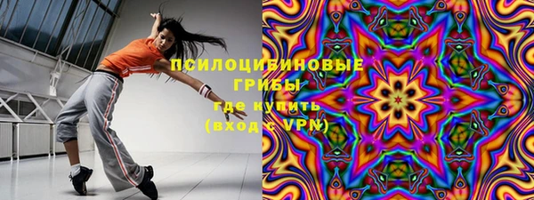дмт Алексин