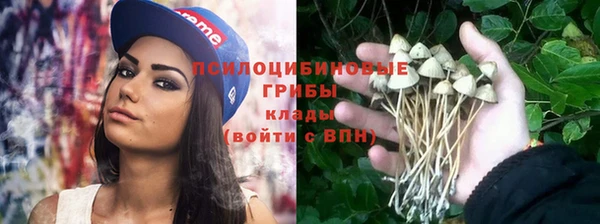 ешки Абдулино