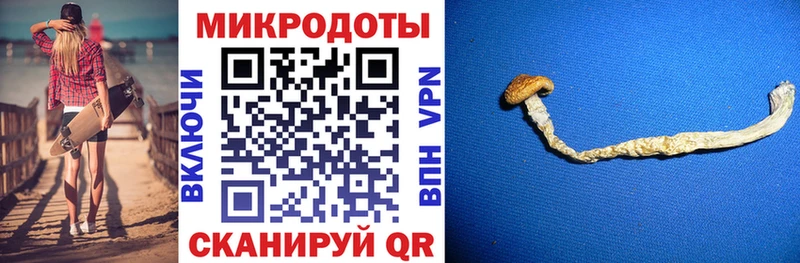 Галлюциногенные грибы ЛСД Вилюйск